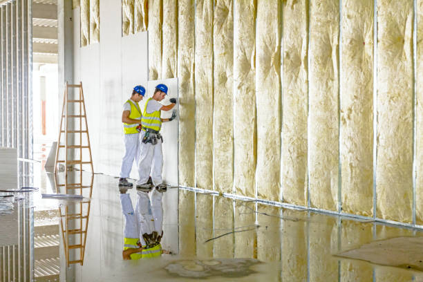 Best Blown-in Insulation in Fulton, NY